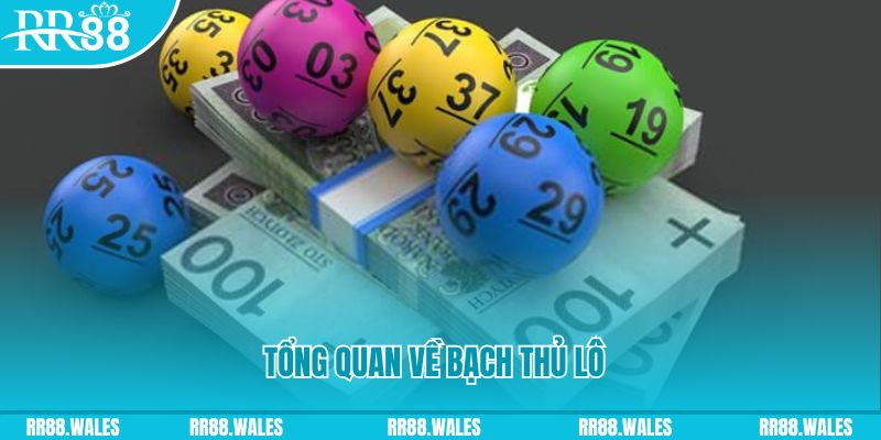 Tổng quan về bạch thủ lô trong sân chơi lô đề RR88