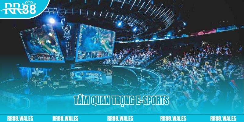 E-sports là gì có tầm quan trọng như thế nào?